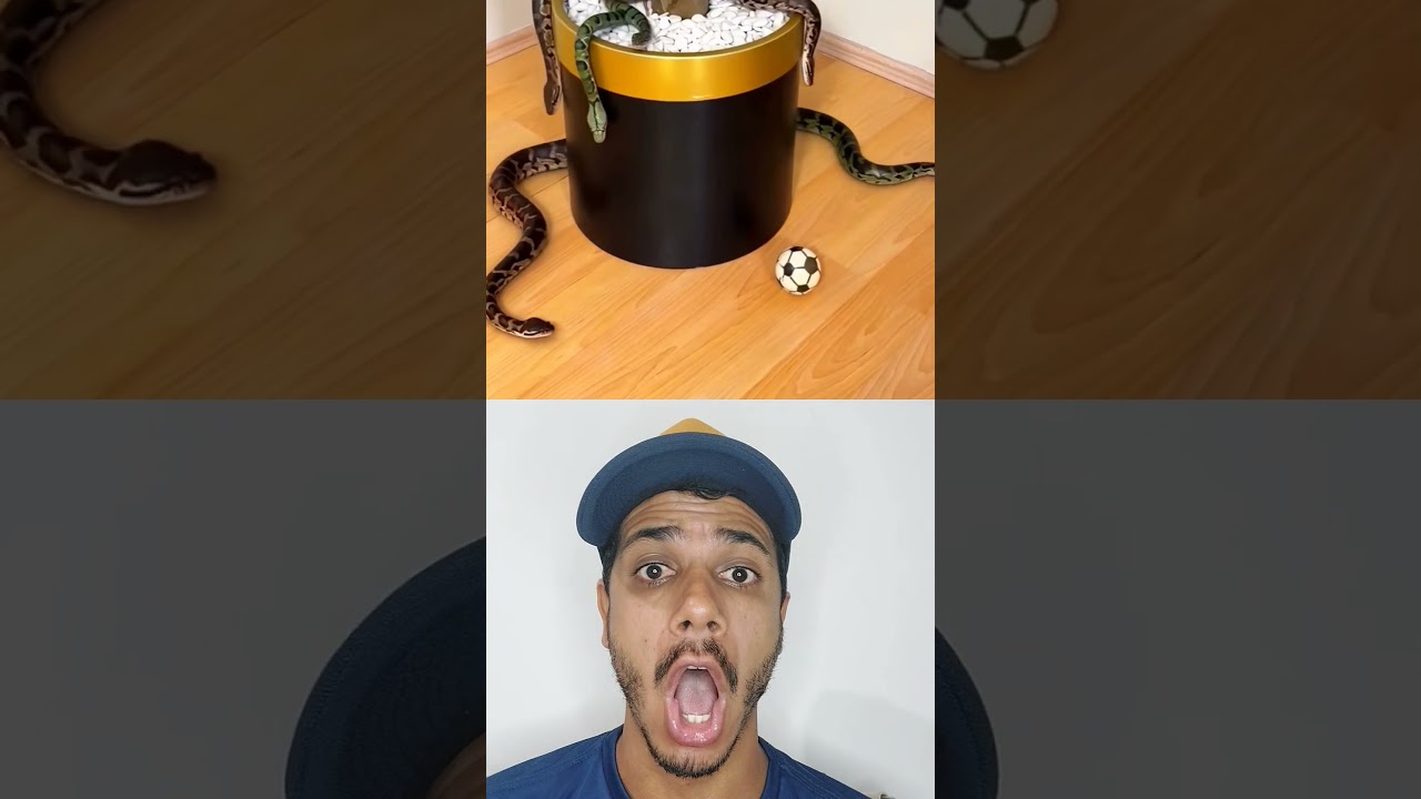 cobra na planta