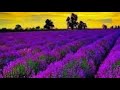 مشكور الحزن ما قصر وياي 