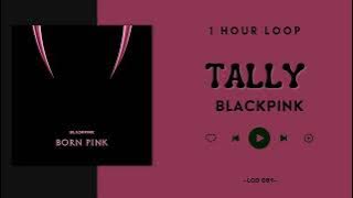 [NO ADS - 1 Hour] BLACKPINK — Tally