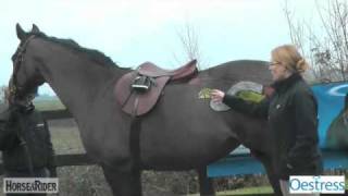 The Mare's Oestrus Cycle- Part 3 | HorseandRider UK