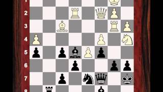 Hikaru Nakamura: Brief commentary #15 - Gennadi Sagalchik vs Hikaru Nakamura - 2003 (Chessworld.net)