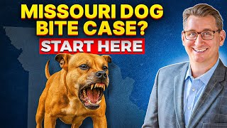 Missouri Dog Bite Laws Liability Compensation Winning Your Case