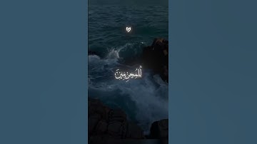 قران كريم بصوت الشيخ عبد الرحمن مسعد 🫀🔥