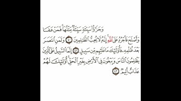 سورة الشورى 14 القسم الرابع عشر تكرار كيفي من .. وجزاء سيئة سيئة مثلها .. إلى .. لهم عذاب أليم