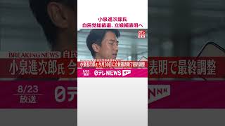 【速報】小泉進次郎元環境相  自民党総裁選  今月30日に立候補表明の方向  #shorts