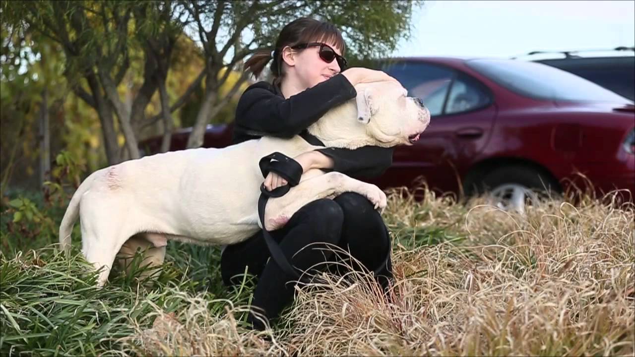 rescue dogs rock nyc Meet Spinner - Adopted Rescue Dog | Gateway Pet Guardians