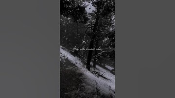 سورة النبأ بصوت القارئ ياسر الدوسري