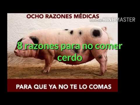 Video: Los Beneficios Y Daños De La Carne De Cerdo Y La Manteca De Cerdo Para El Cuerpo Humano