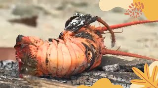 Mencari Mata Lembu Bareng Dokter Chandra! Langsung Di Masak! | SI OTAN (15/12/22)