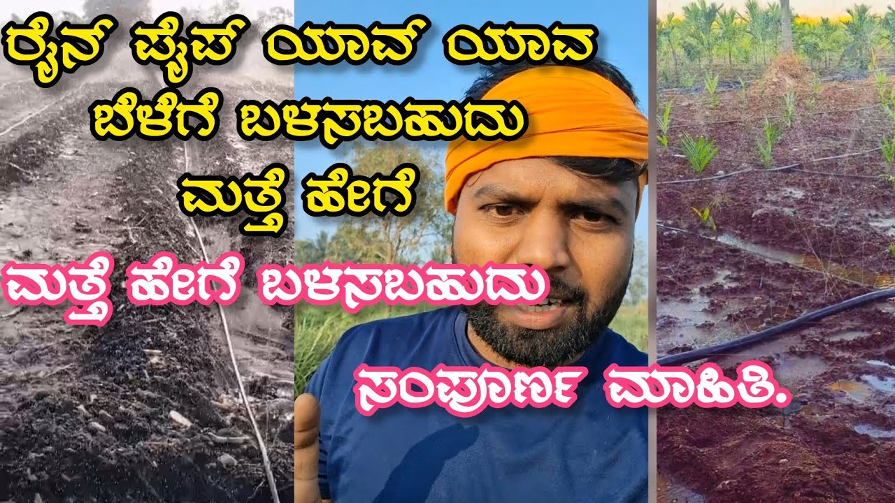 Rain Pipe for all crop. ರೈನ್ ಪೈಪ್ ಬಗ್ಗೆ ಸಂಪೂರ್ಣ ಮಾಹಿತಿ.