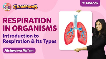 Introduction to Respiration and its Types- Respiration in organisms Class 7 Science Concept | BYJU