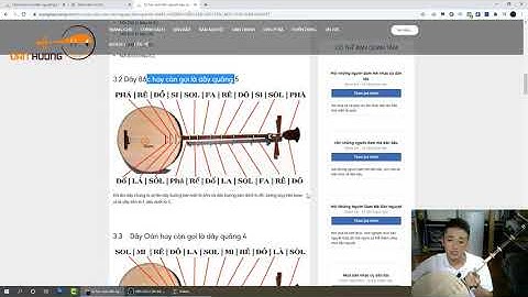 Chia sẻ kinh nghiệm tự học chơi đàn nguyệt tài nhà hiệu quả - Đàn Hương