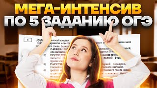МЕГА-ИНТЕНСИВ по 5 заданию ОГЭ | Русский язык ОГЭ 2023 | Умскул