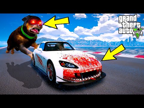 YOK ARTIK! CHOP İLE ŞEYTANIN ARABASIYLA SON HIZDA GİTTİK!! - GTA 5