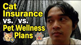 Cat Insurance vs. Pet Wellness Plans