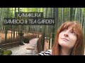Relaxing Tea and Bamboo Garden in Kamakura, Japan