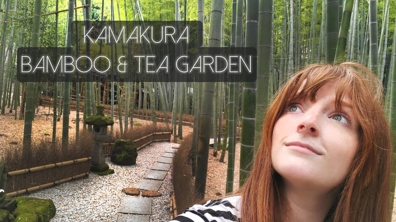 Relaxing Tea and Bamboo Garden in Kamakura, Japan