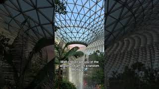 Travel Meme: Your Weekend Plans vs. My Flight Itinerary