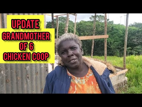GRANDMOTHER OF 6 CHICKEN COOP UPDATE