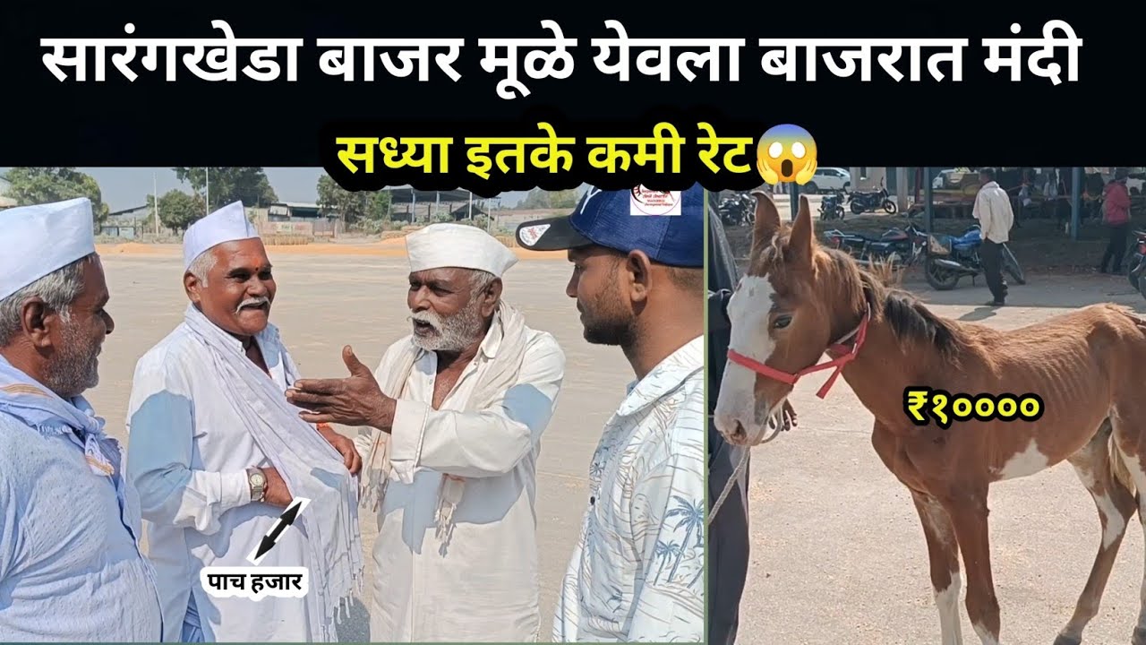 आजचा येवला घोडा बाजार 18-11-2025 सध्या मंदी😱