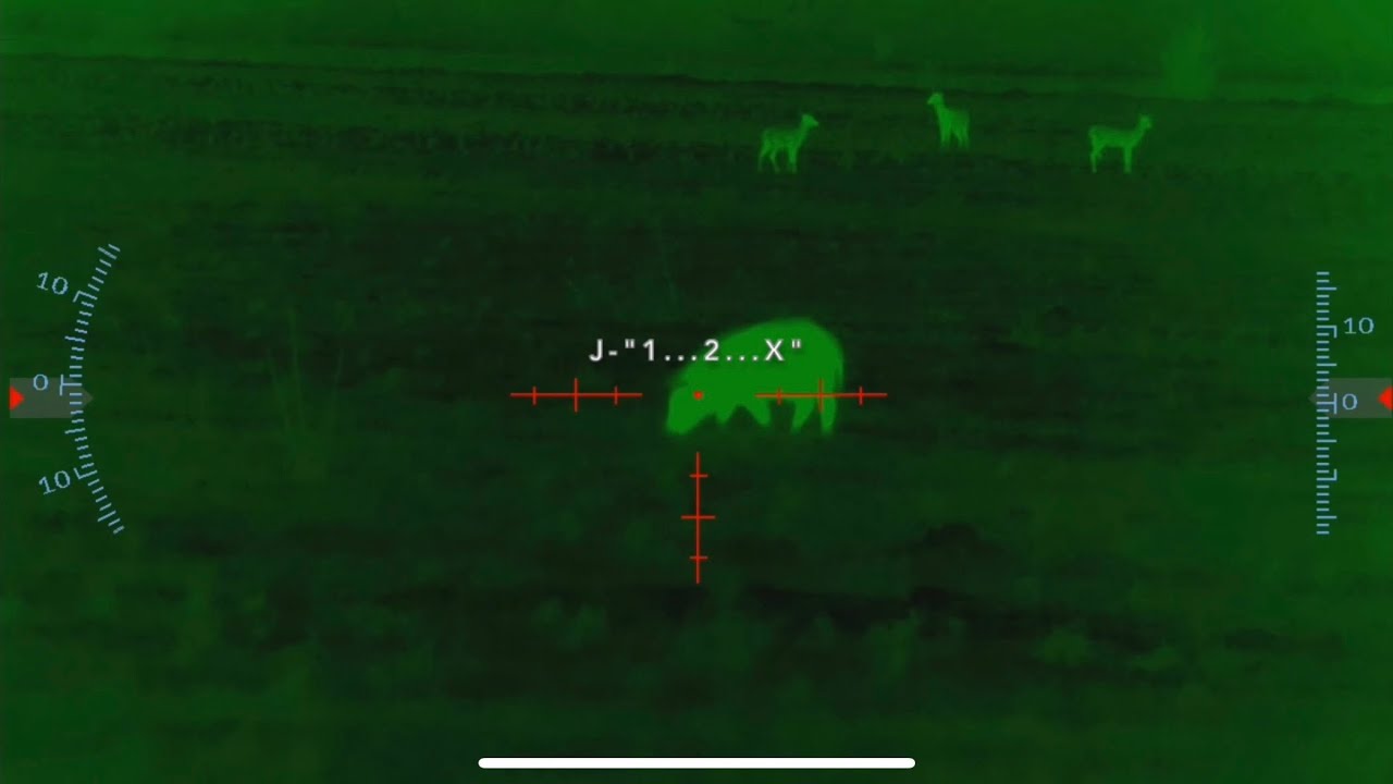 Pig Explodes Pig EXPLODES from 6mm ARC - YouTube