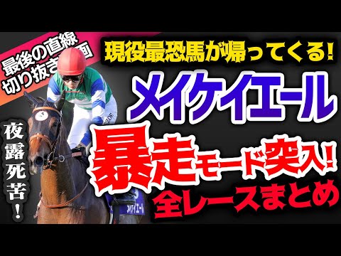 最恐馬メイケイエール暴走モード突入！大暴走 全レース見せます【直線切り抜き】