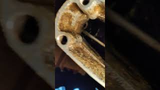 Honda 15 hp 4 stroke outboard cooling issue/water pipe in the wrong place Honda 15 hp 4 stroke outboard cooling issue/water pipe in the wrong place