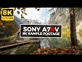 Sony a7rv  8k sample footage  jaworskyj