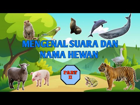 MENGENAL SUARA DAN NAMA  HEWAN  PART 2 YouTube