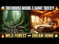 Treehouse Odyssey: Solo Craftsman Builds Misty Forest Dream on 3 Giant Trees