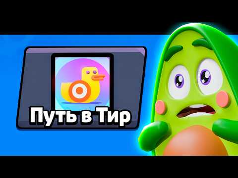 ROAD TO TIER! How many BRAWLERS did I manage to collect in BRAWL STARS?