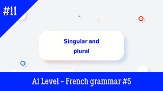 French Lesson 11 - Le Singulier Et Le Pluriel En Français A1 Level - French Grammar N5