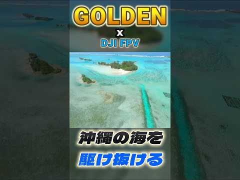 【沖縄発】沖縄の美しい海の上を優雅に飛ぶ‼️最高だね😆