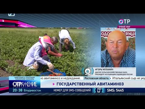 Государственный авитаминоз