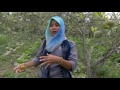 Potret DAAI TV - Membumi Untuk Sinabung Part 1 (Full)