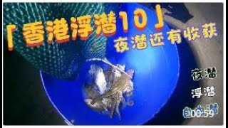 【香港浮潛】《夜潛還有收獲》