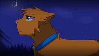 The Fire Came Travelling || Firestar Map part 4