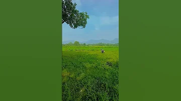 Mahbub Sanam 