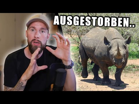 Diese Tiere sind biologisch ausgestorben.. Was hat das für Folgen? | Robert Marc Lehmann