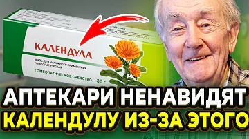 Жаль, все забыли, что вытворяет мазь календулы