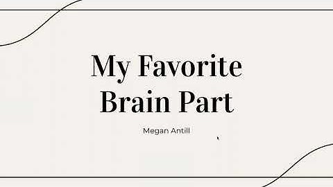 Dorsolateral Prefrontal Cortex | My Favorite Brain Part!