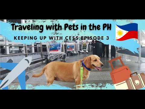 philippines pet travel