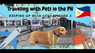 Traveling with Pets in the PH by Plane | Travel Philippines | Keeping Up with Cess