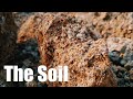 The soil cinematic
