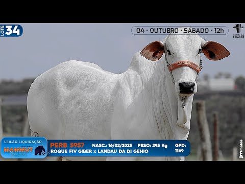 LOTE 34   PERB 5957