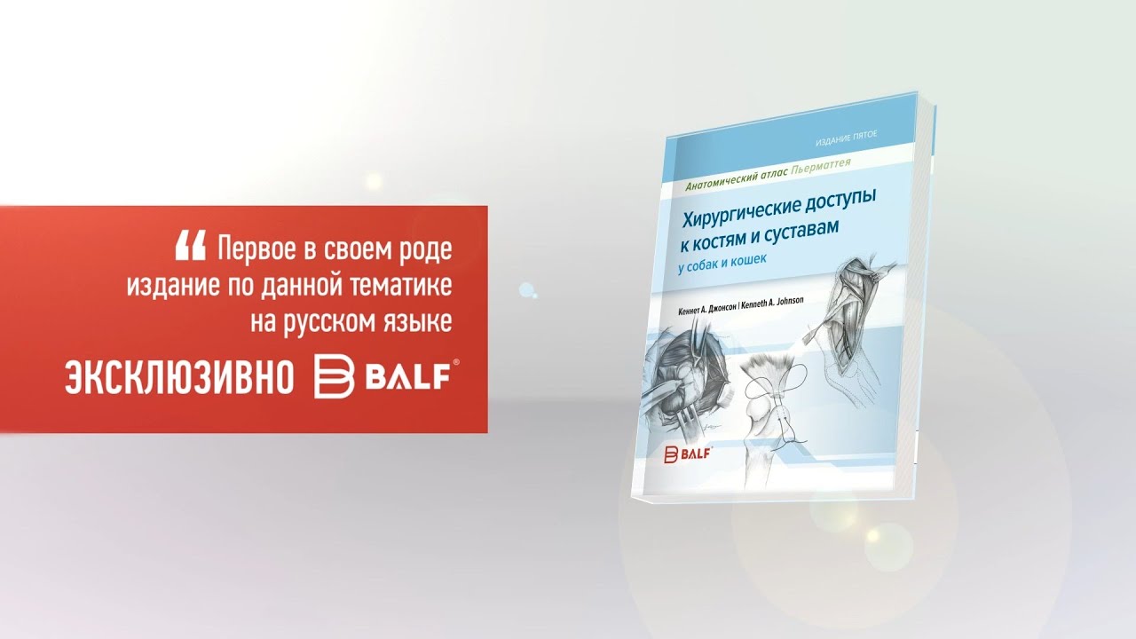 Получите подробный атлас анатомии собаки для скачивания