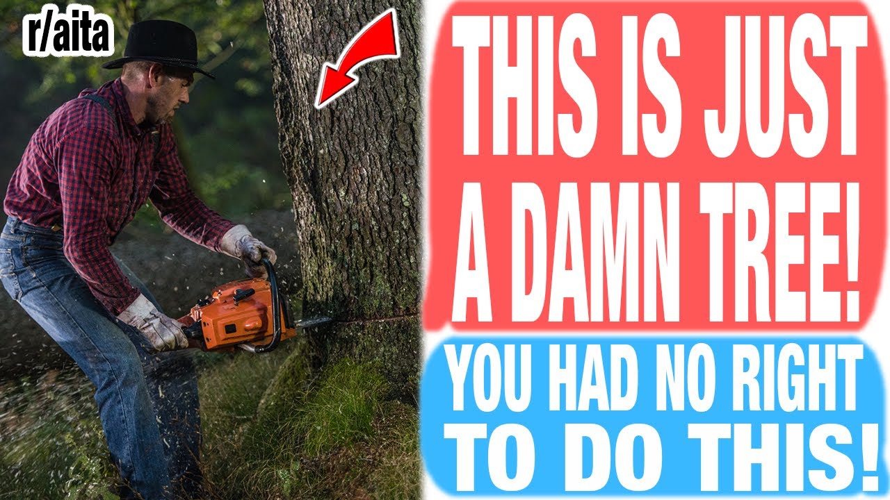 NEIGHBOR CUT MY TREE WITHOUT PERMISSION & DAMAGED MY LAND, AITA FOR