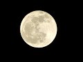 Full moon Super zoom on May 5th, the Flower Moon  Moon Phases Panasonic fz70
