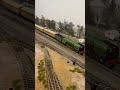 Earl Marischal Crosses Over At Mertz With The 5 Teaks