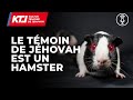 Le tmoin de jhovah est un hamster